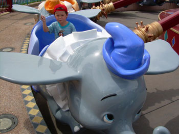 Dumbo Dumbo